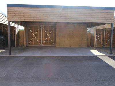 Picture 8